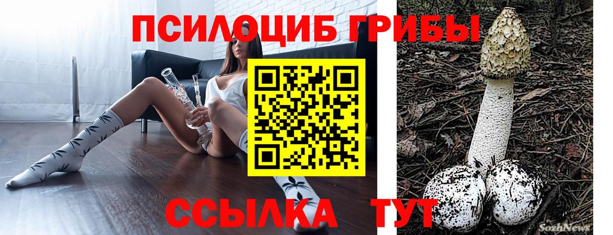 Галлюциногенные грибы GOLDEN TEACHER Красноярск